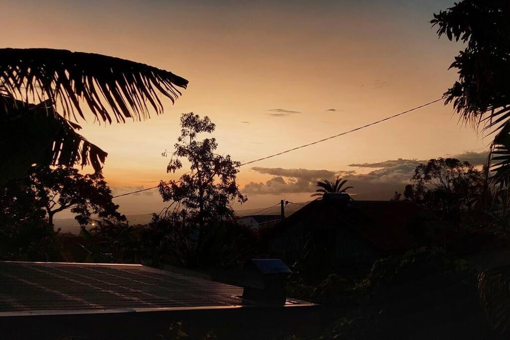 ル・タンポン Chalet Les Azaleesヴィラ エクステリア 写真